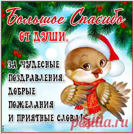 За всё я Вас благодарю,
Поддержку Вашу я ценю,
Спасибо за добро, внимание
И за все-все Ваши старания.
