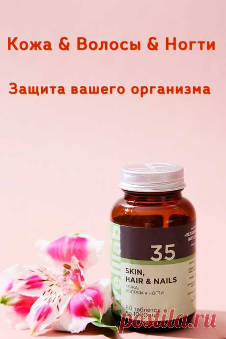Изображение пина-истории