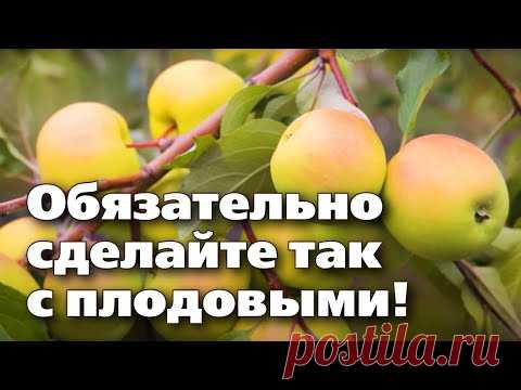 ЯБЛОНИ И ГРУШИ ОСЕНЬЮ. Актуальные операции