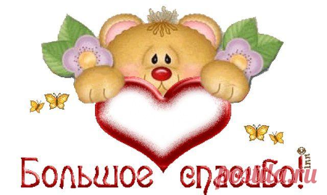 79916499-bol-soe_spasibolo.jpg (640×381)