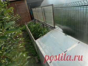 Парник для перца своими руками