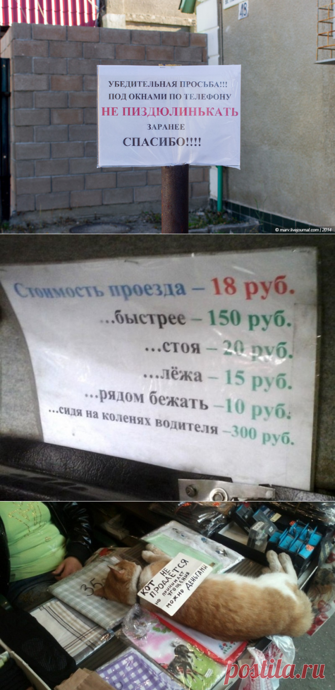 Подборка креативных объявлений, вывесок и информационных табличек