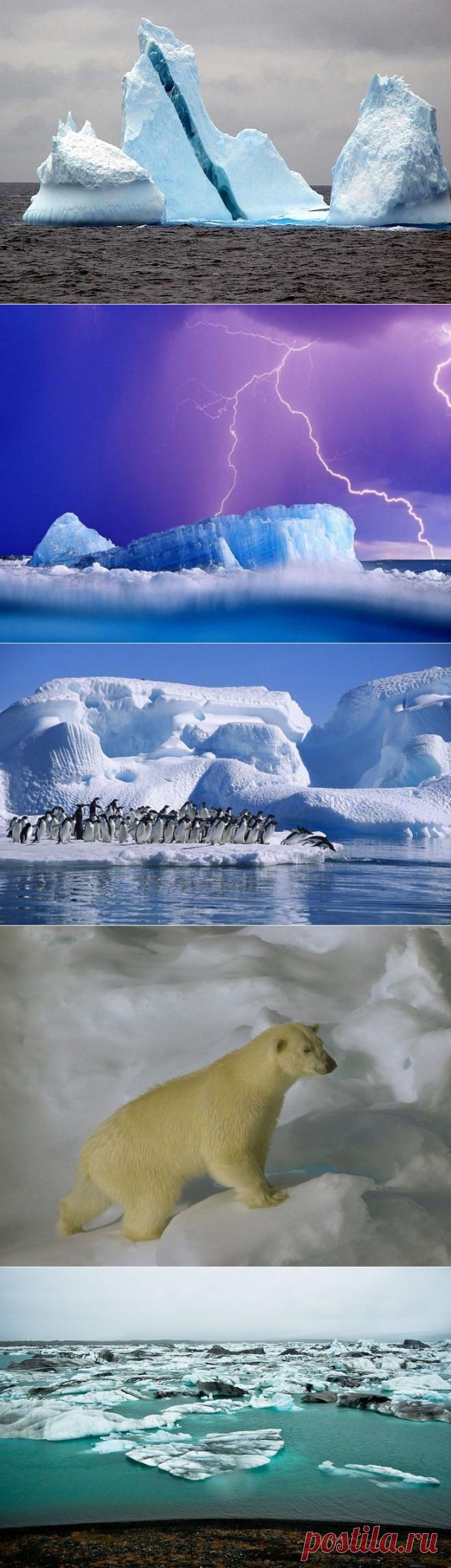 Ледяное великолепие айсбергов — Наука и жизнь