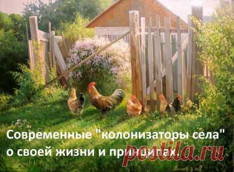 Из цикла «Колонизаторы села»
«Артем, с работой у нас никак. Если вы хотите поехать в деревню и работу работать, то вам нужно большое село, городского типа. Это такая жизнь, которая мне совершенно не понятна. Работать, чтобы покупать опять же черти что в магазинах. Мы делаем ставку на свой труд внутри своего хозяйства. Чтобы в итоге побольше было своего и поменьше покупного. Ведь если ты не покупаешь, но продукт имеешь, то это уже значит, что зарабатываешь».
https://vk.com/topic-21126073_29731673