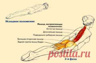 Всего одно упражнение для королевской осанки. Идеально для всех, кто засиживается перед компьютером.