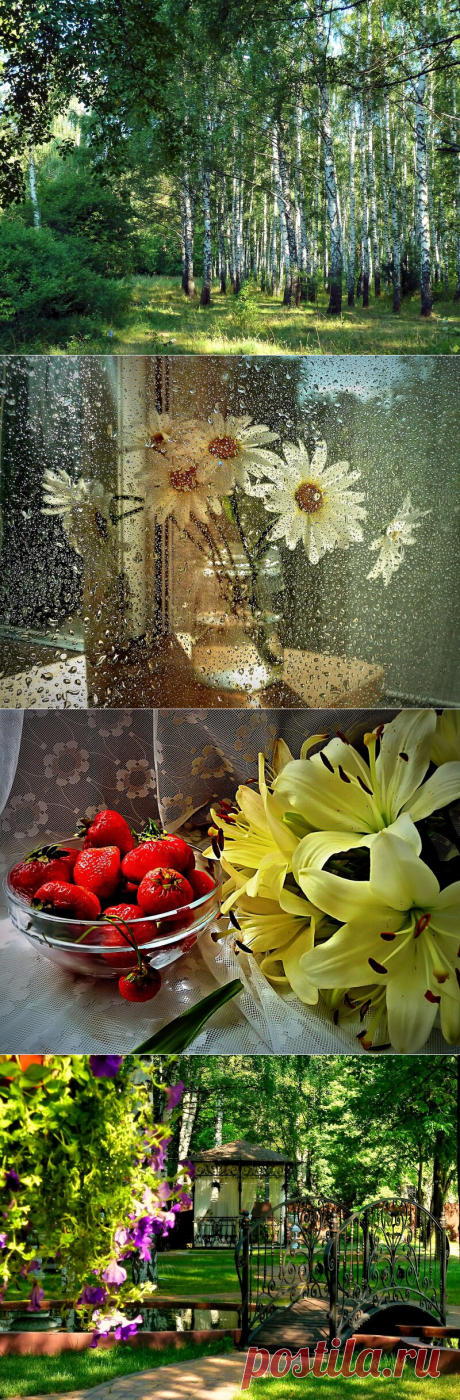 Не за горами радость лета...