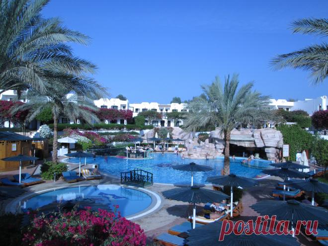 Уютная, яркая и теплая "Virginia"