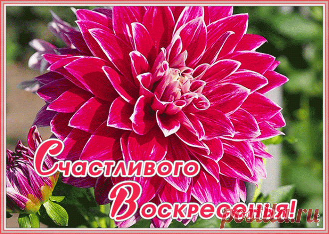 Анимационная картинка с с воскресеньем