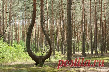 Редактировать описание