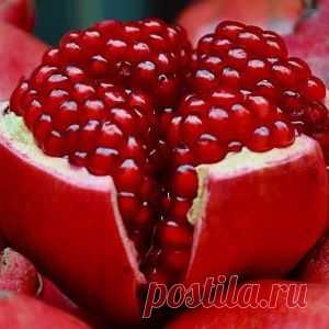 10 РЕЦЕПТОВ ВКУСНЕЙШИХ ПИРОГОВ | Готовим вместе