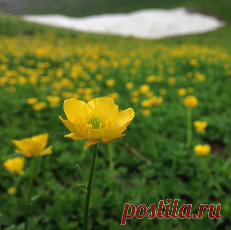 КАКОЙ СЕГОДНЯ ПРАЗДНИК? 30 Июня 2018 г. – Суббота • День экономиста • День разбрасывания монеток • День сотрудника службы охраны уголовно-исполнительной системы РФ • День штрафников • День изобретателя и рационализатора39 лет • Международный день астероида • День Вооруженных сил - Великобритания • День армии - Гватемала • День влюблённых - Азербайджан • День учителя - Доминикана • День независимости - Конго • День филиппино-испанской дружбы • Национальный день коктейля «Май Тай» - США • День…