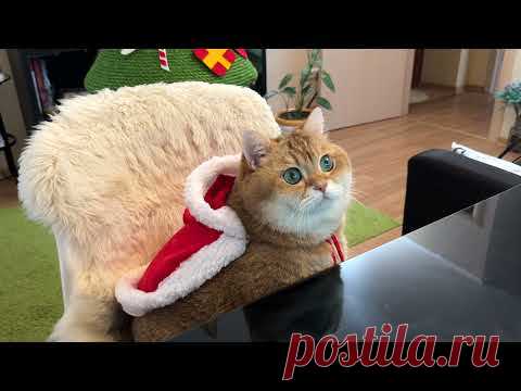 Merry Christmas!