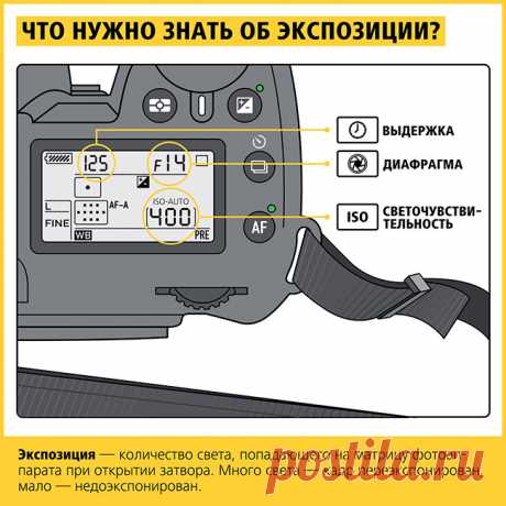 Абсолютно всё, что нужно знать новичкам и любителям о фотографии.