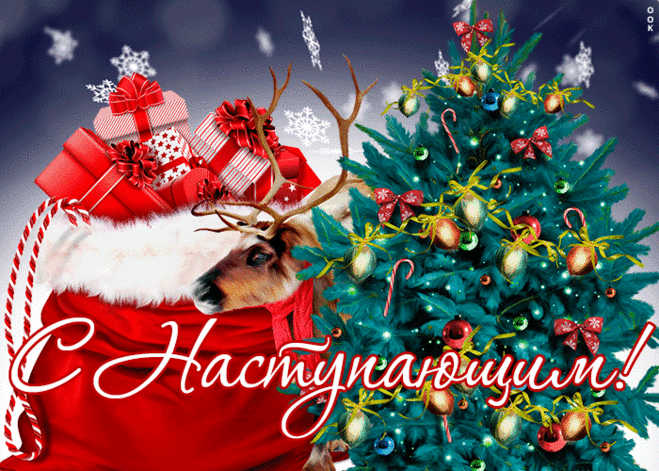 С Новым годом поздравляем!
Счастья нового желаем,
Новых радостей, доходов,
Лишь предвиденных расходов!