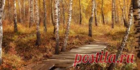 Искусство и творчество, живопись, фото, цитаты и афоризмы