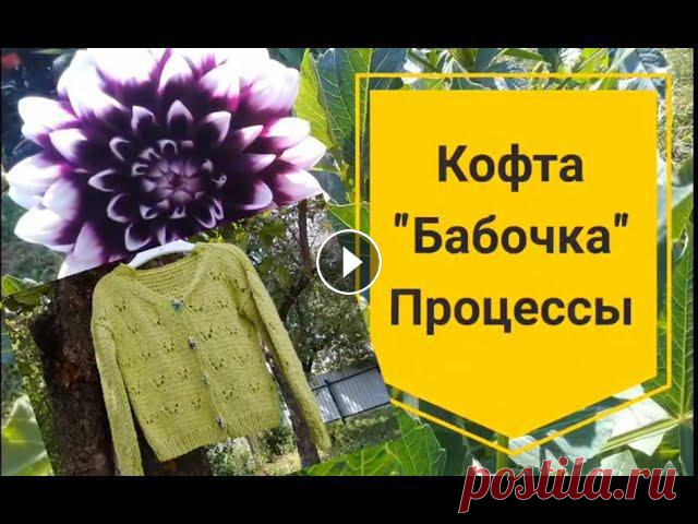 Кофта детская "Бабочка"/ Процессы

связанные картинки