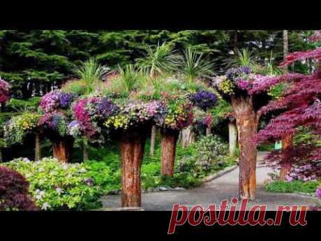 Ботанический сад Glacier Gardens - YouTube
Ботанический сад Glacier Gardens на Аляске – место очень необычное. Туристам, приехавшим сюда на экскурсию, может показаться, что вокруг все перевернуто с ног на голову, ведь десятки деревьев, вопреки здравому смыслу и законам ботаники, верхушкой упираются в землю, а корнями тянутся к небу. В отличие от баобабов, эти деревья не были такими изначально, их уникальный внешний вид – результат многолетних трудов владельцев парка Стива и Синди Боухей (Steve