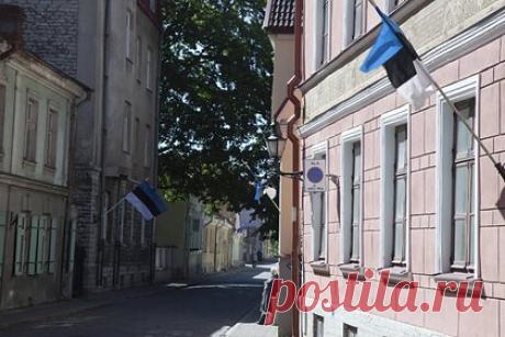 В Эстонии начнут готовиться к партизанской войне. Эстония начнет готовиться к ведению партизанской войны. Об разработке соответствующего проекта сообщила вице-канцлера министерства обороны Маргит Гросс. Отмечается, что в сентябре Минобороны планирует предоставить законопроект на рассмотрение правительству, ведомство рассчитывает на принятие проекта уже в этом году.