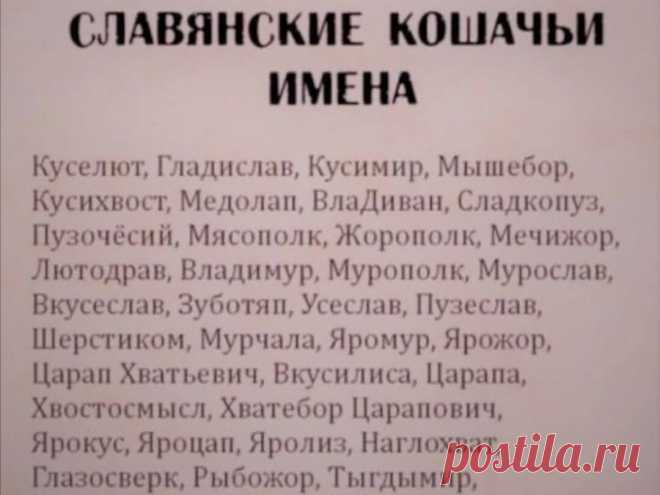 Альтер эго дзен Фишка это подборка лайфхаков для дома. Разные полезные хитрости на каждый день про уборку, стирку, уход за вещами, как мыть, убрать, почистить, а также поздравления и идеи подарков.
