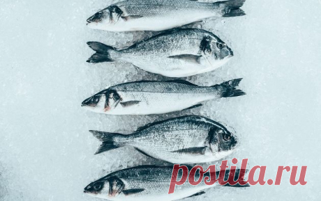 10 видов рыбы, от которых стоит отказаться раз и навсегда | КТО?ЧТО?ГДЕ? Пульс Mail.ru