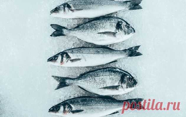 10 видов рыбы, от которых стоит отказаться раз и навсегда | КТО?ЧТО?ГДЕ? Пульс Mail.ru