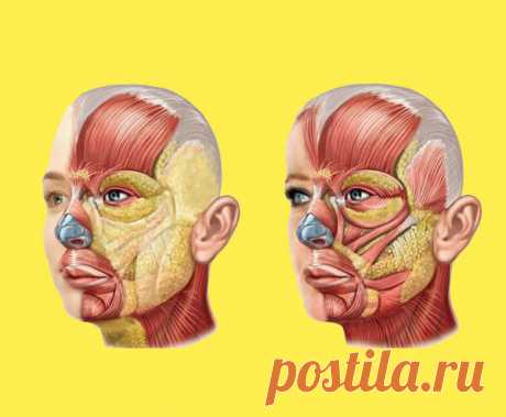 Мир женщины