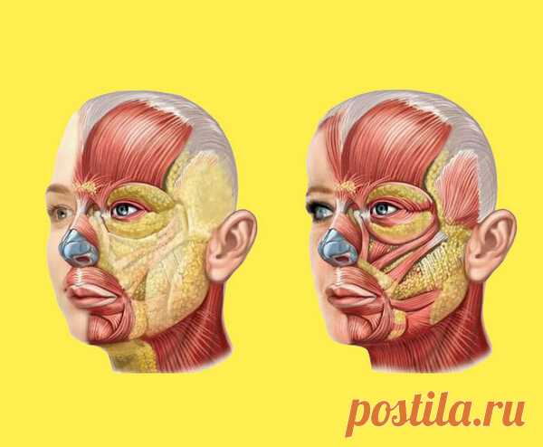 Мир женщины