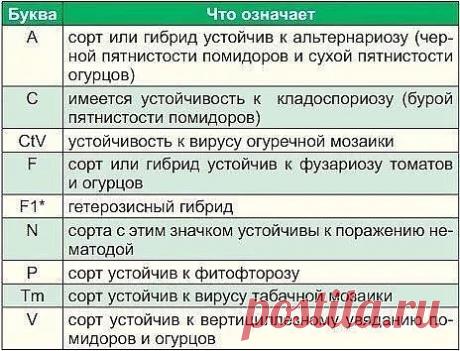 Дачные дела...) - Google+