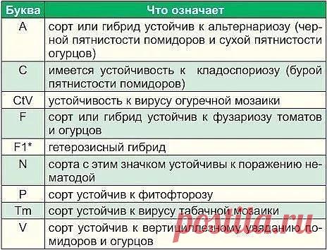 Дачные дела...) - Google+