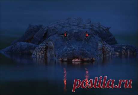 Подборка фотографий (108 фото) | Прикол.ру — приколы, картинки, фотки и розыгрыши!