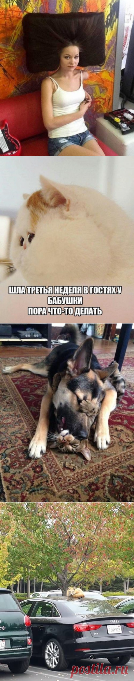 Позитивные и прикольные картинки / Приколы
