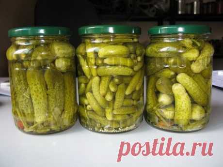 Как приготовить корнишоны маринованные. Рецепт заготовок на зиму