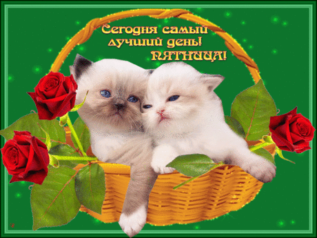 сегодня - Пятница...