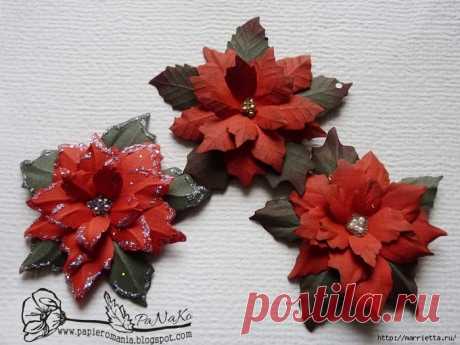 Рождественская звезда ПУАНСЕТТИЯ из бумаги. Шаблоны и мастер-класс
