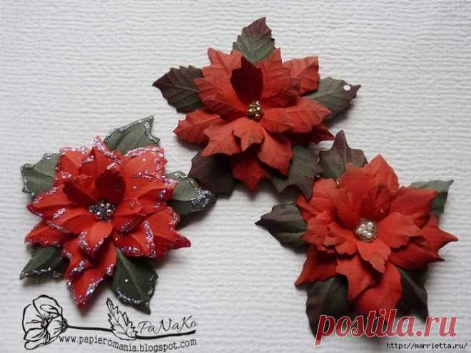 Рождественская звезда ПУАНСЕТТИЯ из бумаги. Шаблоны и мастер-класс
