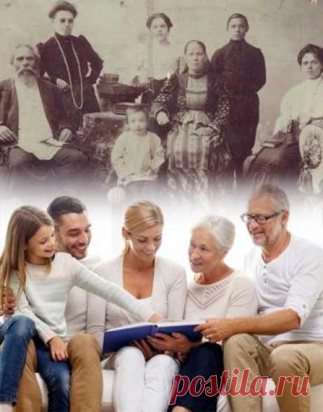 Восемь документов семейной родословной