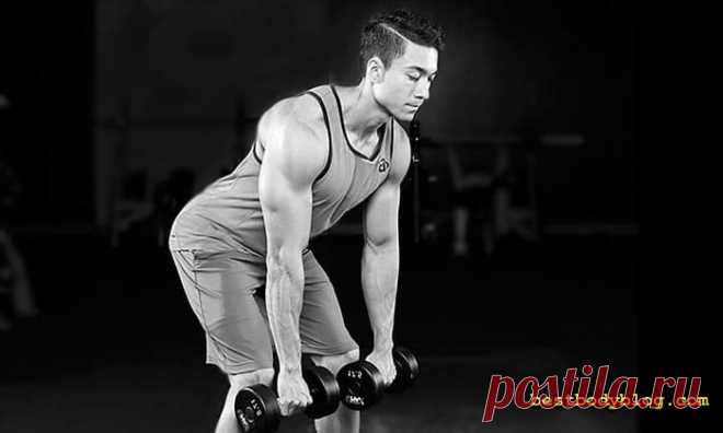 5 упражнений на спину с гантелями в домашних условиях | bestbodyblog.com