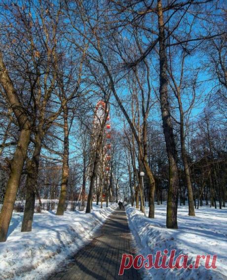 Парк, зима, колесо обозрения, атмосфера.