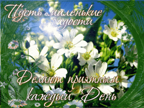 dd7ed690c040d8cff0c5a5150c28d460.jpg (463×350)