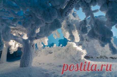 Турбо улитка | Смех сквозь хохот и другие материалы. Новое в Вашей подборке на Постила.ru - lora.sheremeteva@mail.ru - Почта Mail.Ru