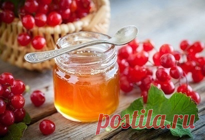 КАЛИНА С МЁДОМ