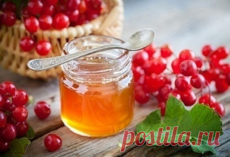КАЛИНА С МЁДОМ