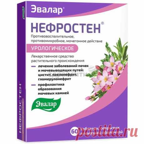 Нефростен таблетки п.п.о. 60 шт. — сравнить цены и купить в интернет-аптеке ЗдравСити