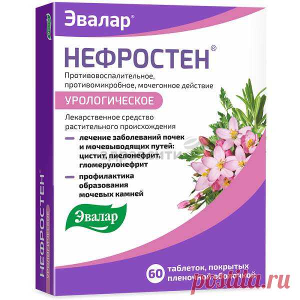 Нефростен таблетки п.п.о. 60 шт. — сравнить цены и купить в интернет-аптеке ЗдравСити