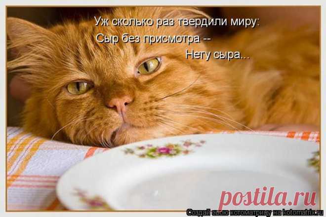 kotomatritsa_aq.jpg (Изображение JPEG, 750 × 500 пикселов)