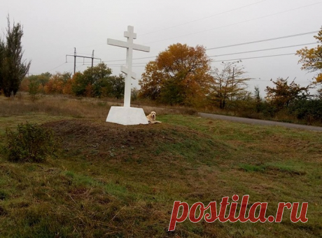 Трое суток алабай ждал хозяина возле Креста, но за ним так никто и не вернулся! И вот однажды рядом остановилась случайная машина… К сожалению, очень часто люди необдуманно заводят питомцев и потом избавляются от них различными жестокими способами. Скорее всего, наш сегодняшний герой столкнулся именно с такой ситуацией.

Белый ал…
