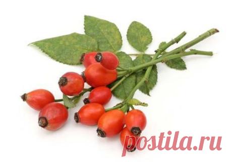 Камни в почках и мочевом пузыре