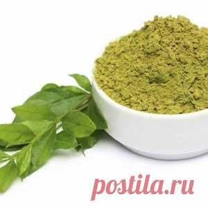 Маски из этого натурального средства сделают волосы густыми и здоровыми