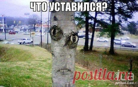 ПРИРОДА В ЛИЦАХ 