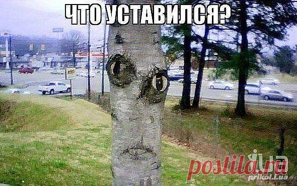 ПРИРОДА В ЛИЦАХ 